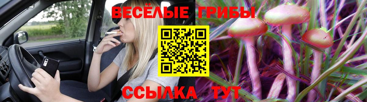 Псилоцибиновые грибы ЛСД  Вход с VPN  Вичуга 